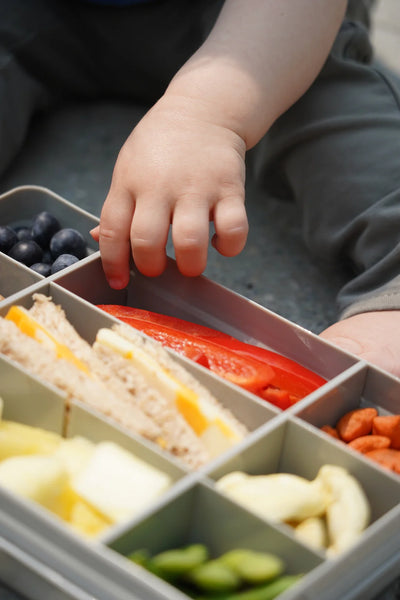 Snackle Snack Compartment Box (Grey, Pink or Aqua)
