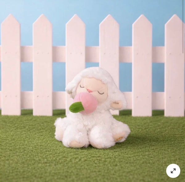 Olli Ella Binky Lamb - May