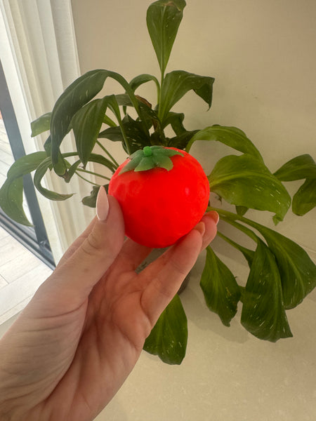 Squishy Red Strawberry Toy