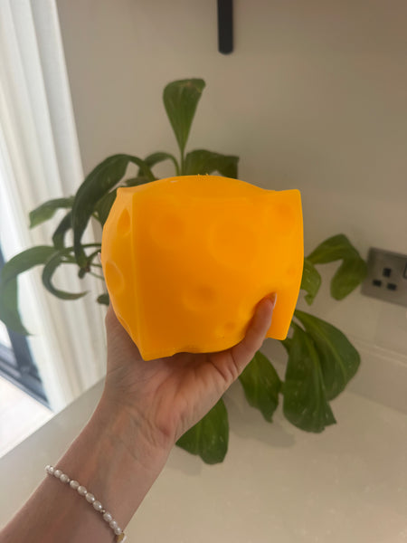 Squishy Jumbo Cheese Squeeze