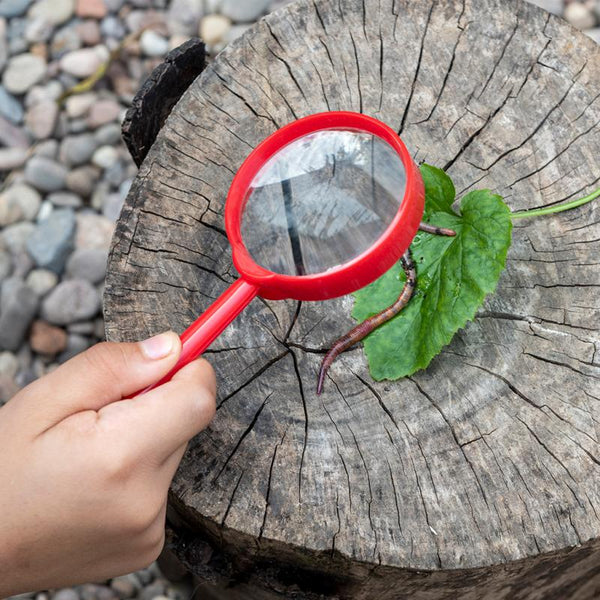 Nature Trail Red Kids Magnifying Glass