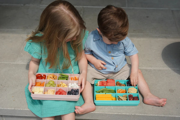 Snackle Snack Compartment Box (Grey, Pink or Aqua)