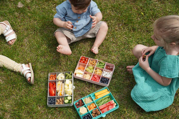 Snackle Snack Compartment Box (Grey, Pink or Aqua)