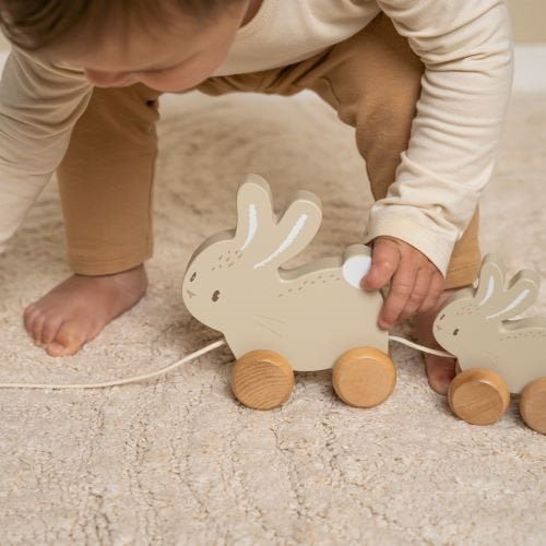 Little Dutch Farm - Pull Along Bunnies