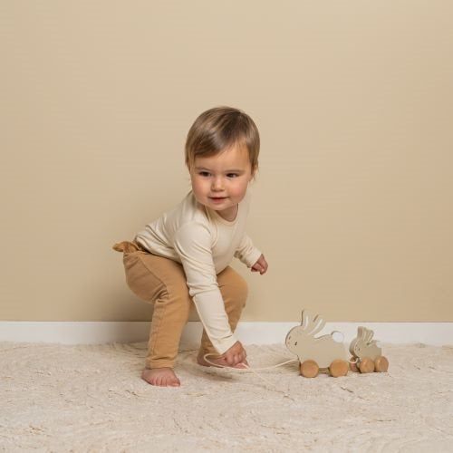 Little Dutch Farm - Pull Along Bunnies
