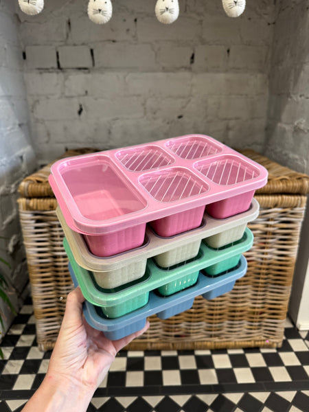 Snack Compartment Box - 4 Colours