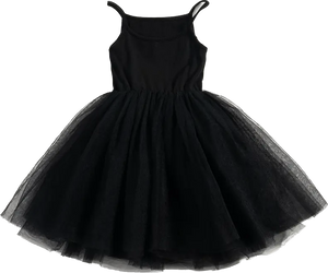 Black Tulle Tutu Dress