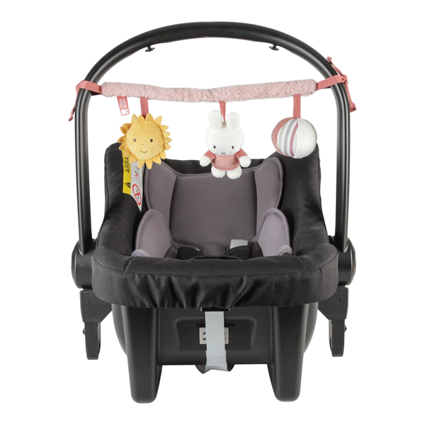 Fisher price car seat toy hot sale